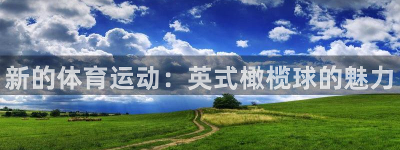 JJB竞技宝官网下载招商电话是多少号码：新的体育运动：英式橄