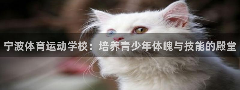 JJB竞技宝官网下载娱乐：宁波体育运动学校：培养青少