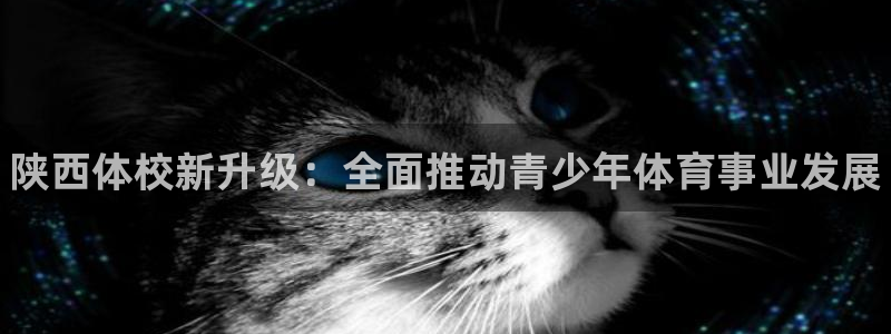 JJB竞技宝官方集团官网：陕西体校新升级：全面推动青