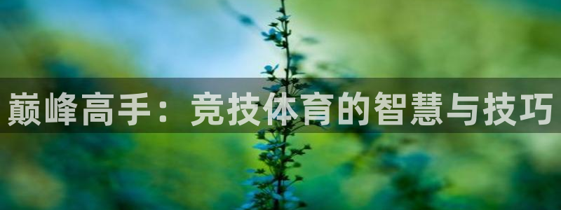 JJB竞技宝官网下载招商电话：巅峰高手：竞技体育的智慧与技巧