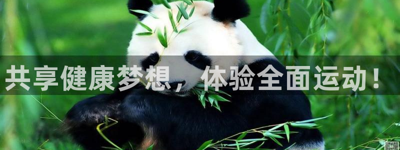 JJB竞技宝官网下载招商电话号码查询是多少：共享健康梦想，体