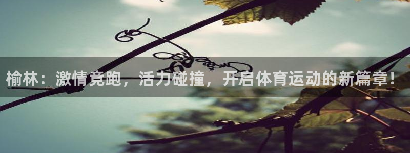 JJB竞技宝官方正版app科技：榆林：激情竞跑，活力碰撞，开