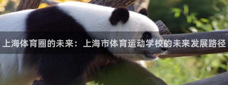 JJB竞技宝官网下载招商电话是多少号码：上海体育圈的未来：上