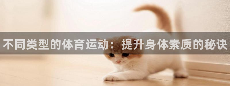 JJB竞技宝官方正版app五金厂：不同类型的体育运动