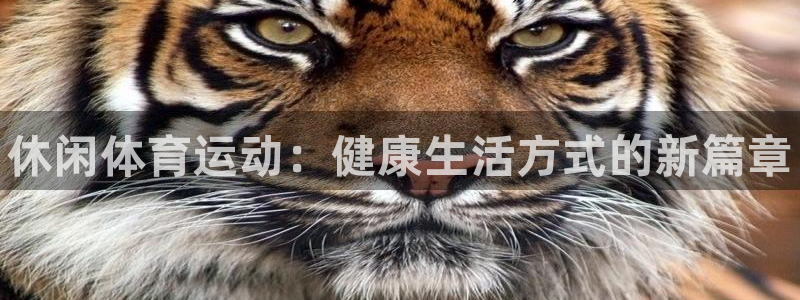 JJB竞技宝官网下载开户：休闲体育运动：健康生活方式