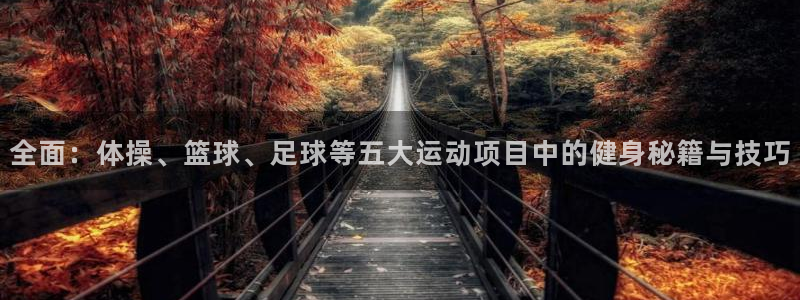JJB竞技宝官网下载招商电话号码是多少：全面：体操、