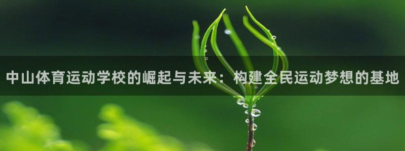 JJB竞技宝官方正版app娱乐平台：中山体育运动学校的崛起与