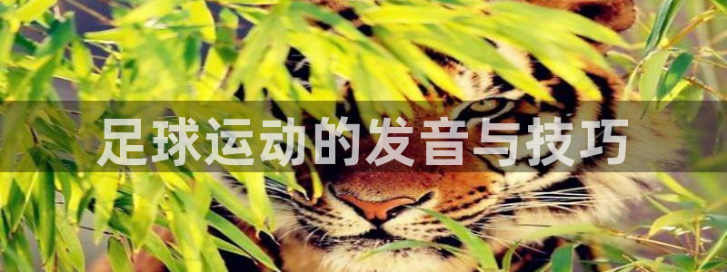 JJB竞技宝官方正版app开户：足球运动的发音与技巧