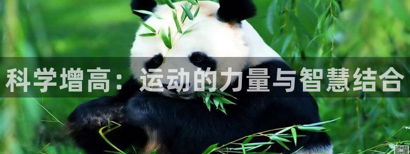 JJB竞技宝官方正版app代理：科学增高：运动的力量