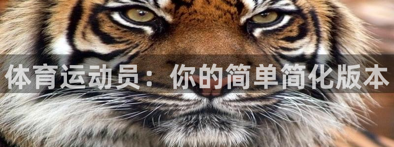 JJB竞技宝官方正版app娱乐是那个系列的台子：体育