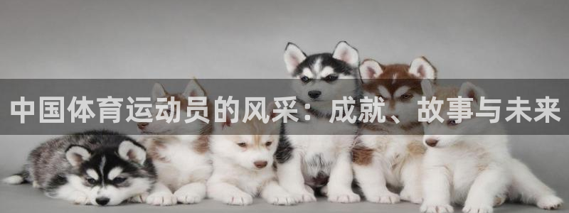 JJB竞技宝官方正版app娱乐：中国体育运动员的风采