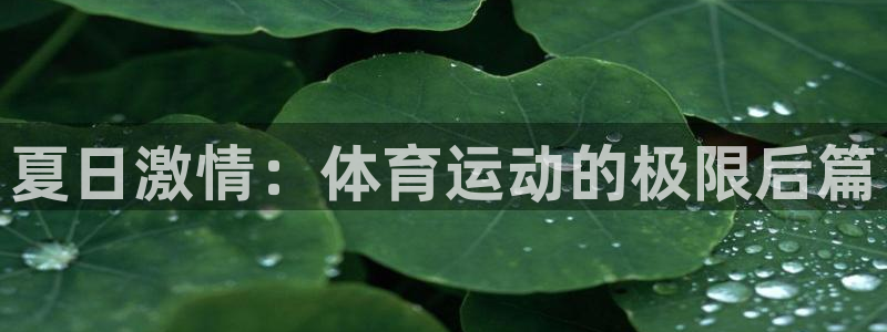JJB竞技宝官方正版app开户：夏日激情：体育运动的