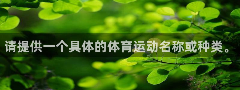注册JJB竞技宝官方正版app：请提供一个具体的体育运动名称