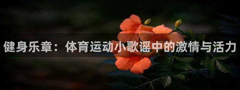 JJB竞技宝官方正版app娱乐平台：健身乐章：体育运动小歌谣