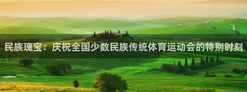 海南JJB竞技宝官网下载：民族瑰宝：庆祝全国少数民族