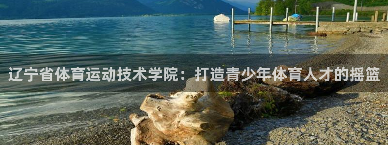 JJB竞技宝官网下载平台注册流程视频：辽宁省体育运动技术学院