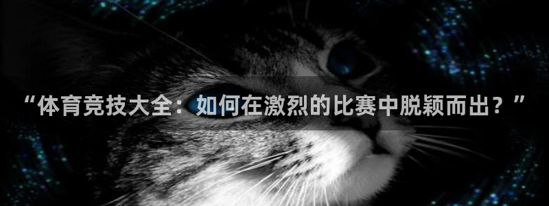 JJB竞技宝官网下载软件：“体育竞技大全：如何在激烈的比赛中
