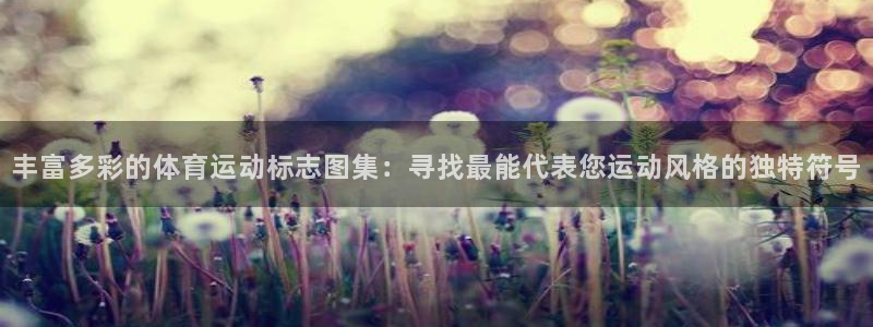JJB竞技宝官方正版app官方：丰富多彩的体育运动标